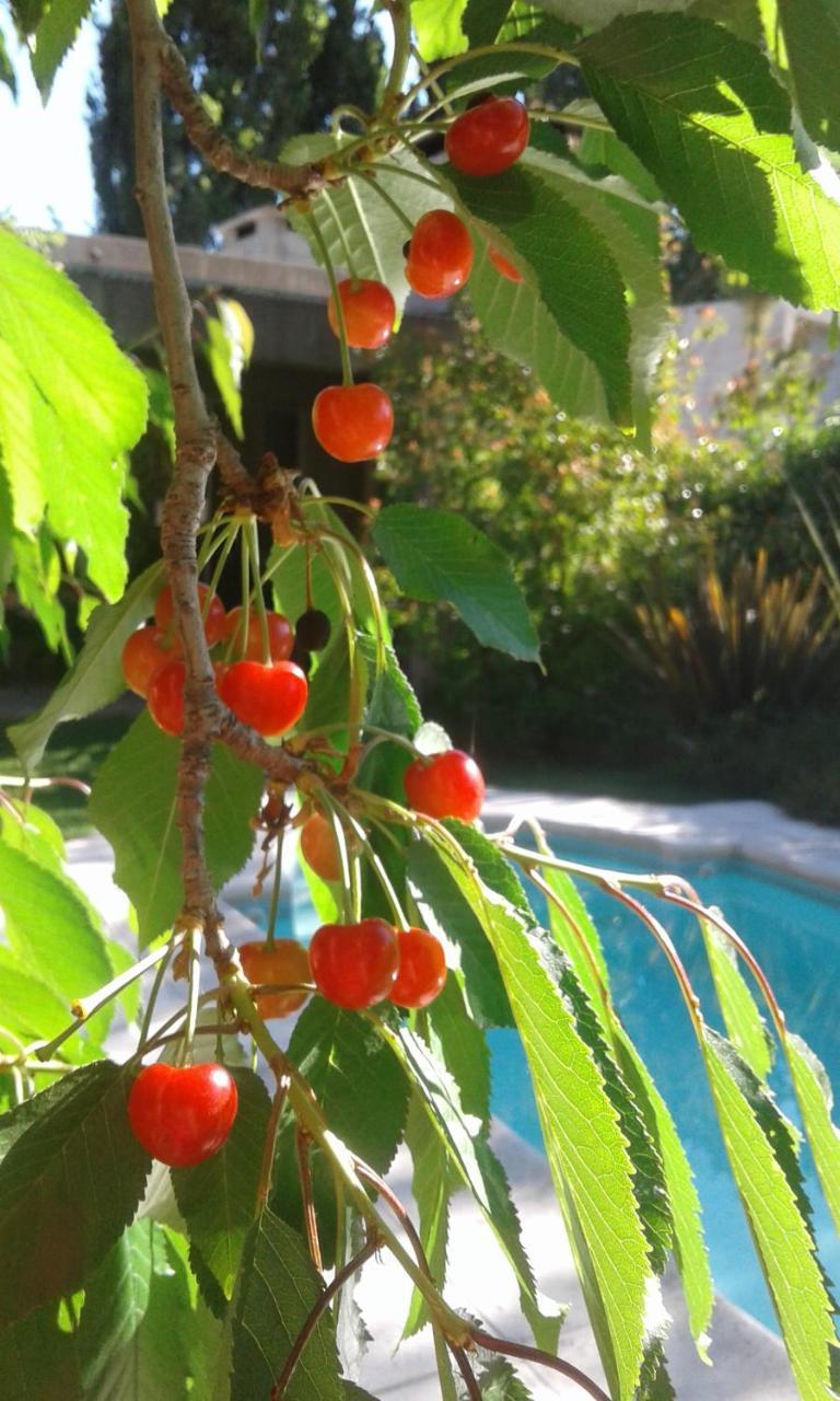 Casa Los Cerezos En 查克拉斯德科里亚 外观 照片